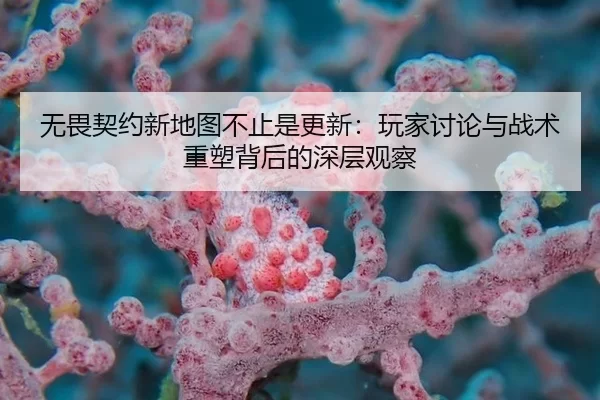 wu-wei-qi-yue-xin-di-tu-bu-zhi-shi-geng-xin-wan-jia-tao-lun-yu-zhan-shu-zhong-su-bei-hou-de-shen-ceng-guan-cha-2-662.jpg